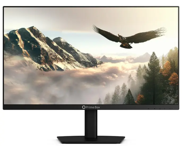 23.8" Монитор Prime Box EAGLE, черный